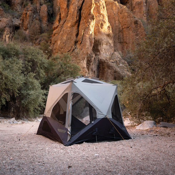 T4 Overland EXP