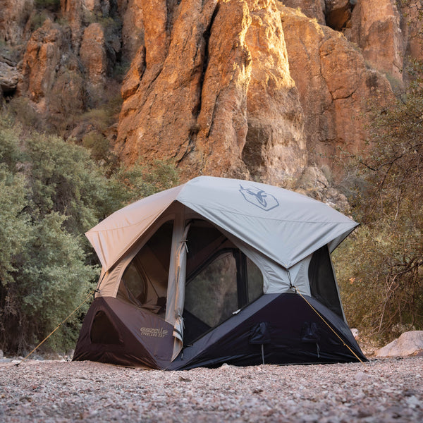 T4 Overland EXP