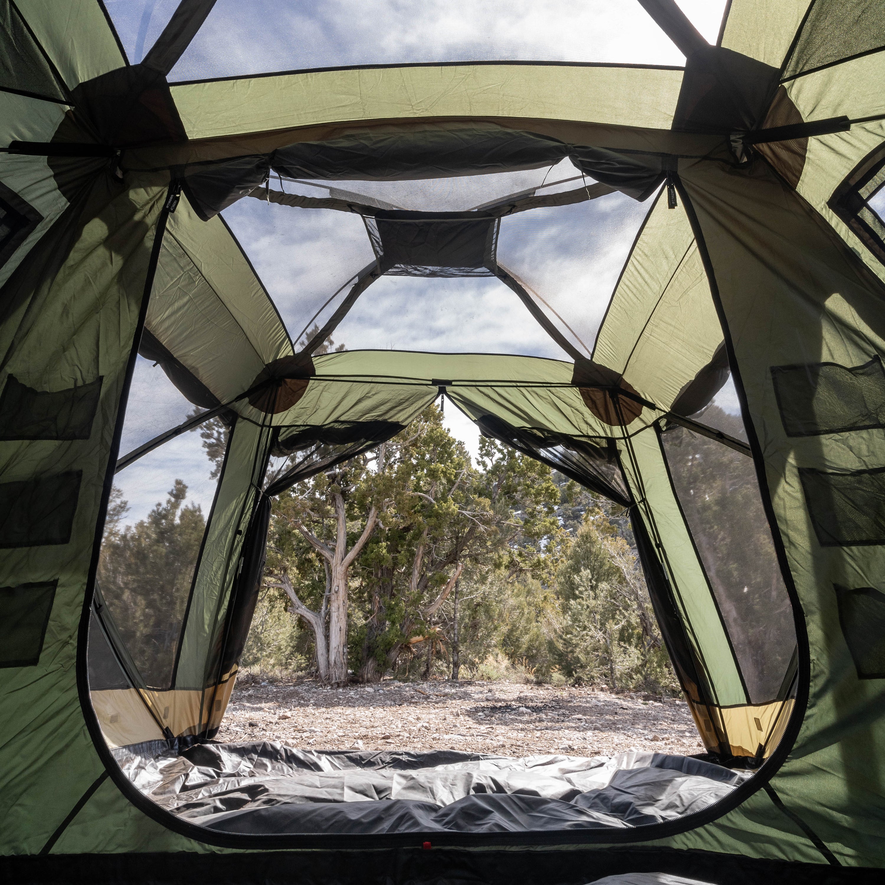 hängematte t4 Gazelle Tents T4 Plus Hub Tent Overland Edition, Alpine Green